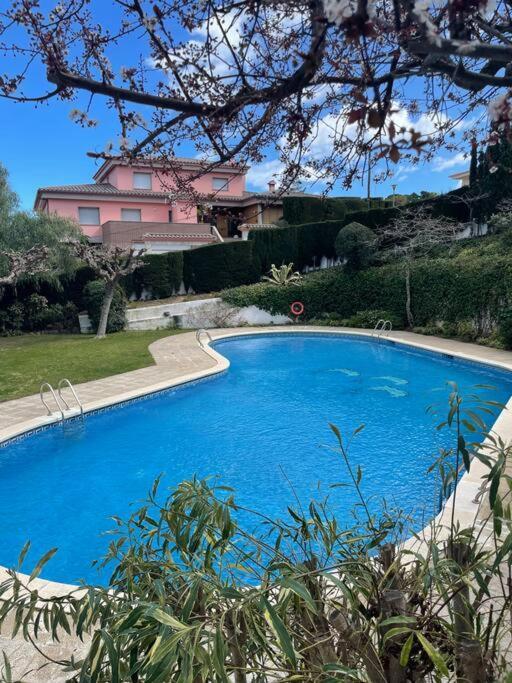 Apartamento Con Piscina En Llança 외부 사진